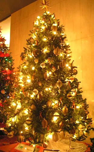 Christmas Tree, Ukraine|311x500